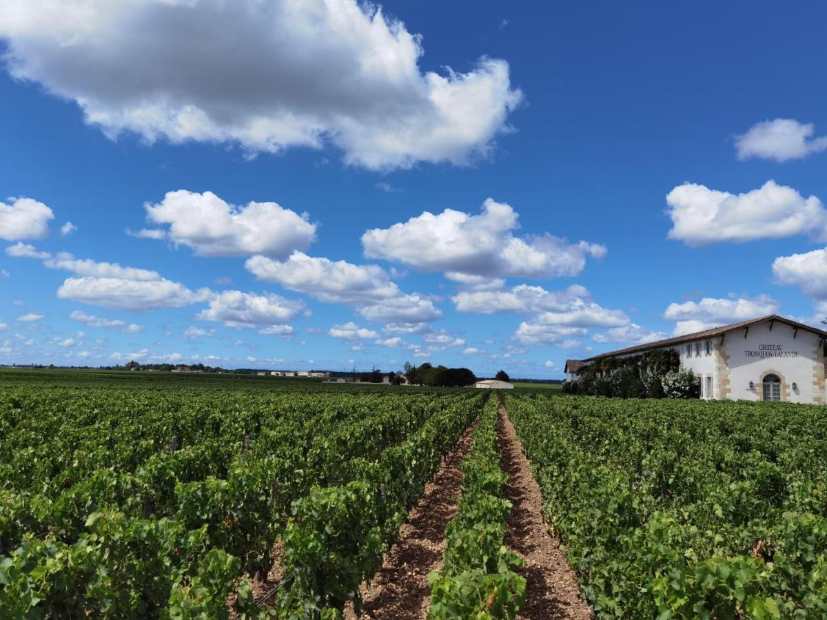 Au Coeur Des Vignobles Bed and Breakfast Saint-Estèphe Εξωτερικό φωτογραφία
